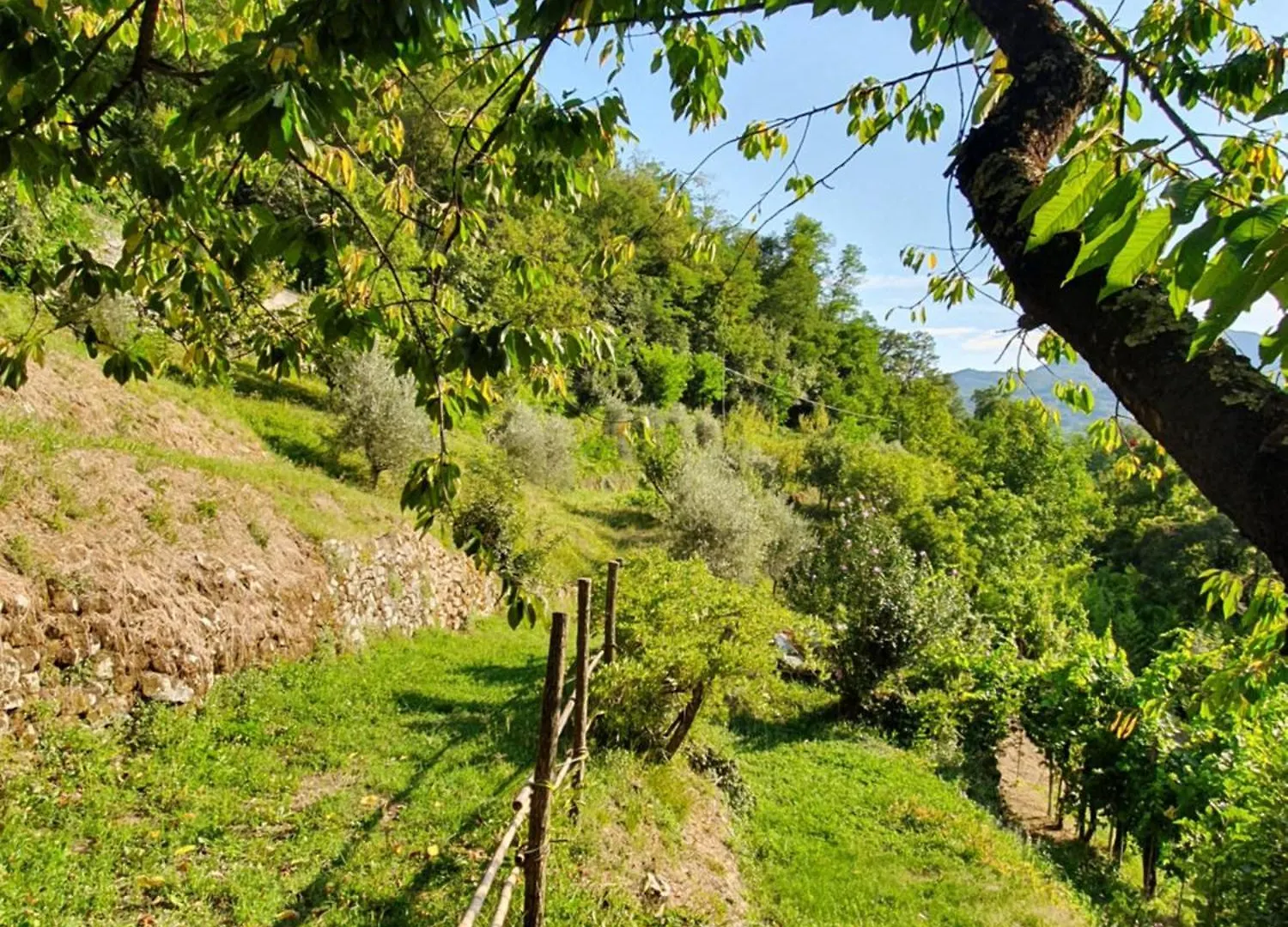 Il Casale Di Ernestina Lägenhet Pontremoli Italien